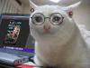 Paweł's avatar