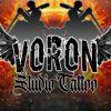Voron Tattoo Studio's avatar