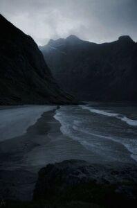 Dominika artist avatar