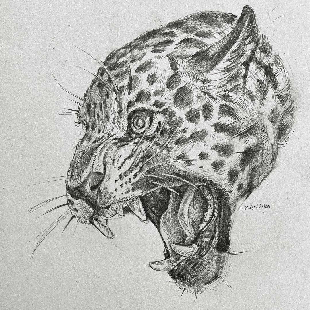 Inksearch tattoo Paulina Mościńska