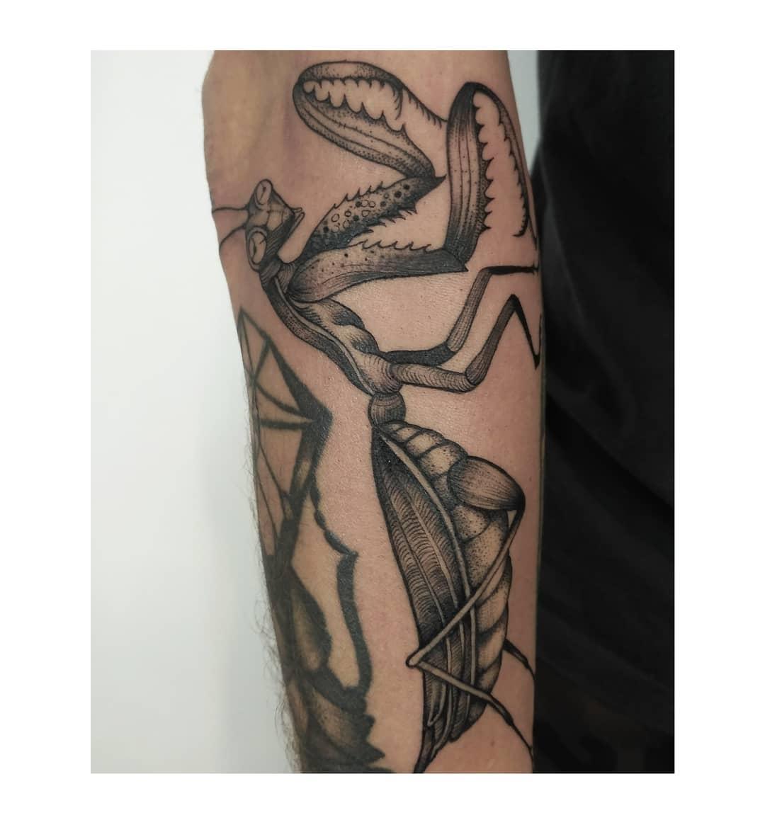 Inksearch tattoo Anna Szejdewik aka Coxie