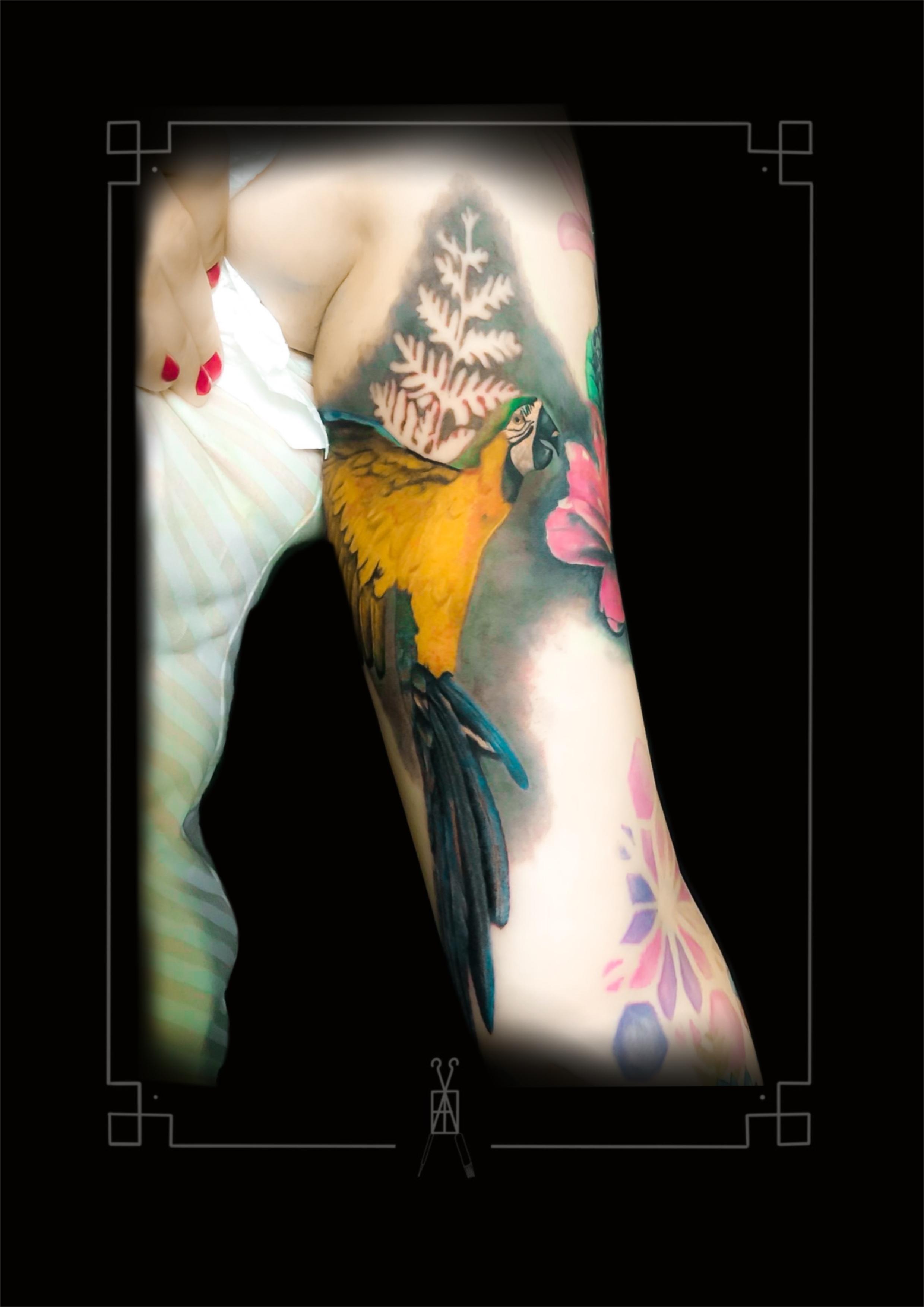 Inksearch tattoo tattoo hackovic