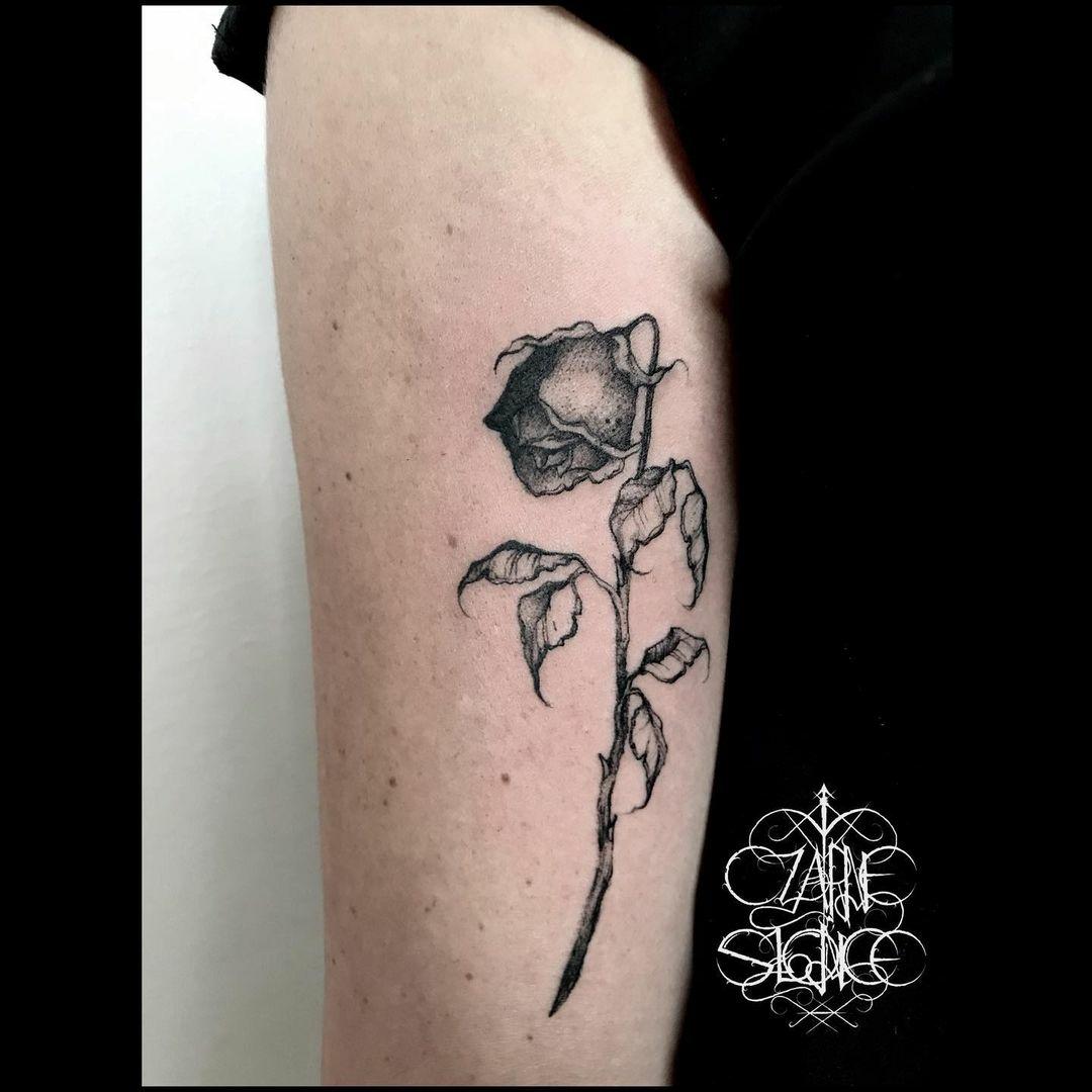 Inksearch tattoo Czarne słońce tattoo