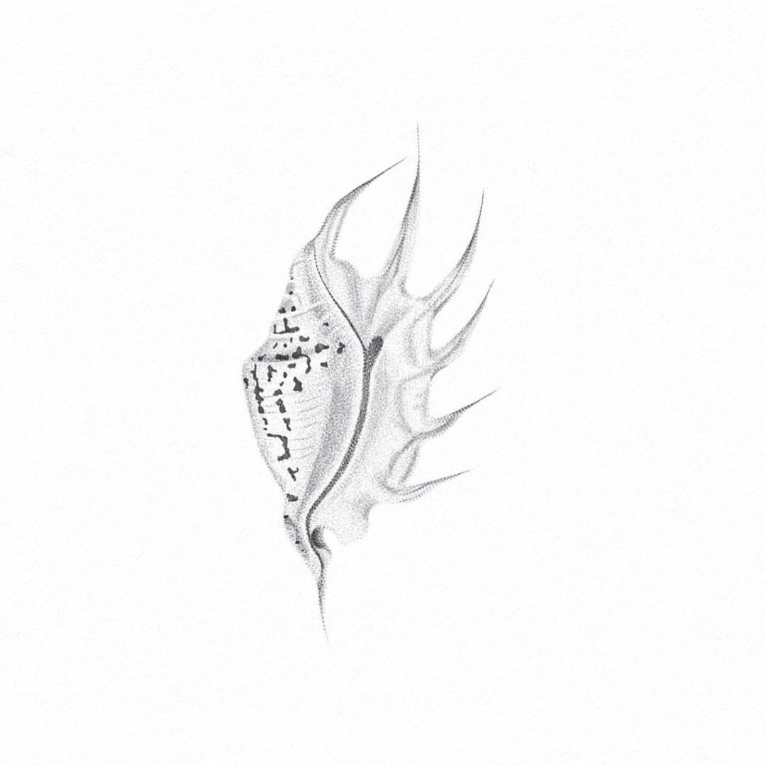 Inksearch tattoo Tygrys
