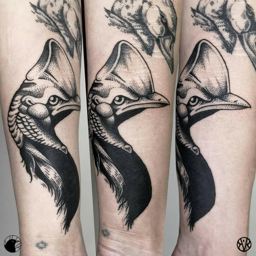 Inksearch tattoo Bogna Rumianowska