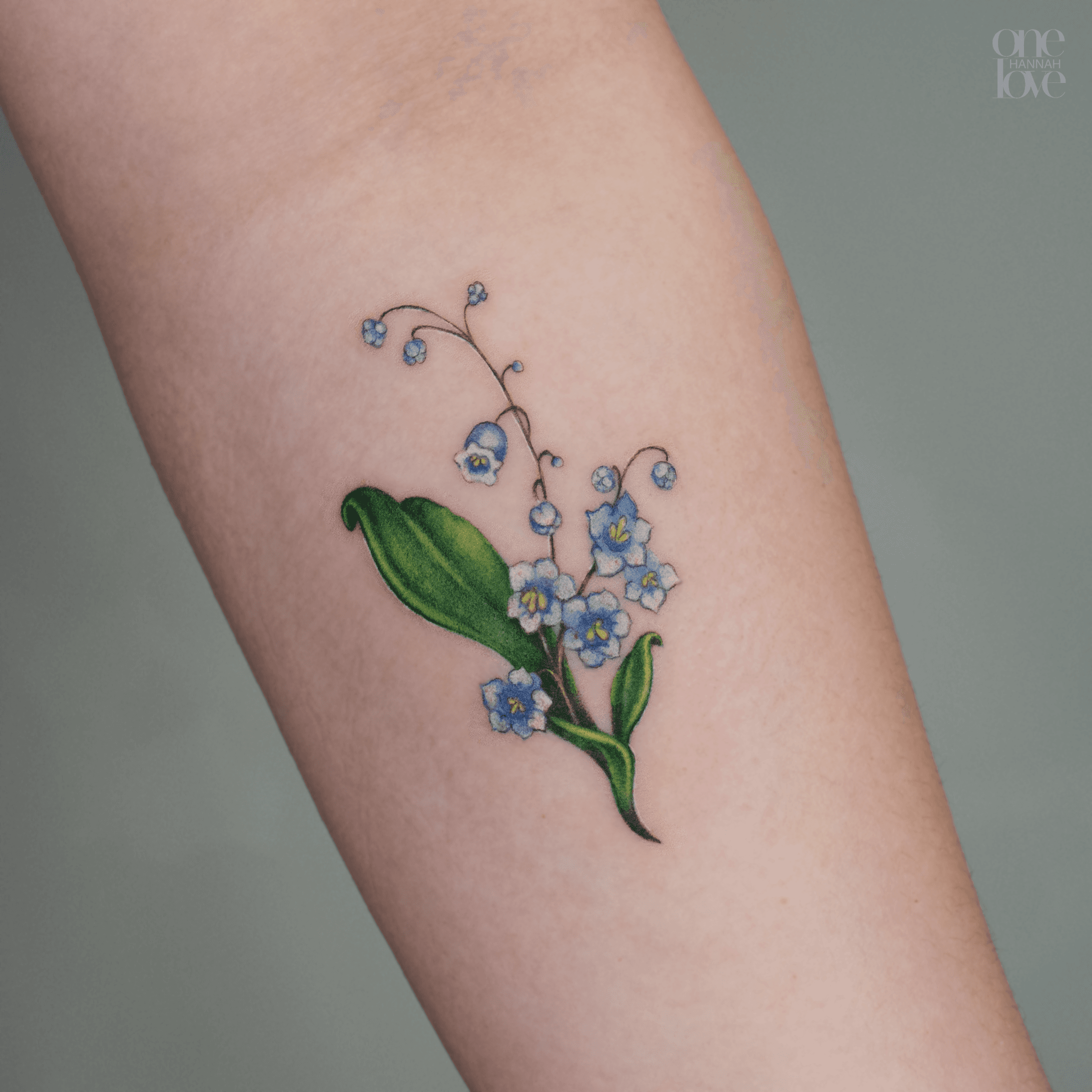 Inksearch tattoo Hannah Evolution