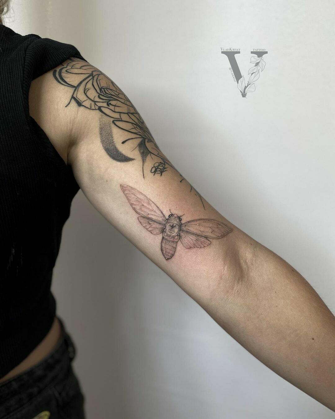 Inksearch tattoo VladKwiat