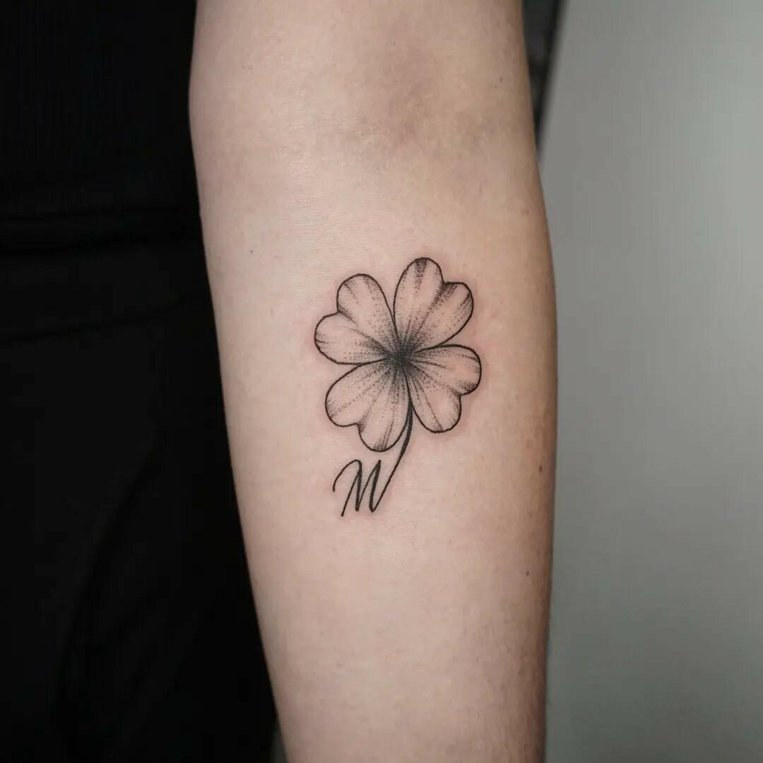 Inksearch tattoo Koti Tattoo Anna Pękala