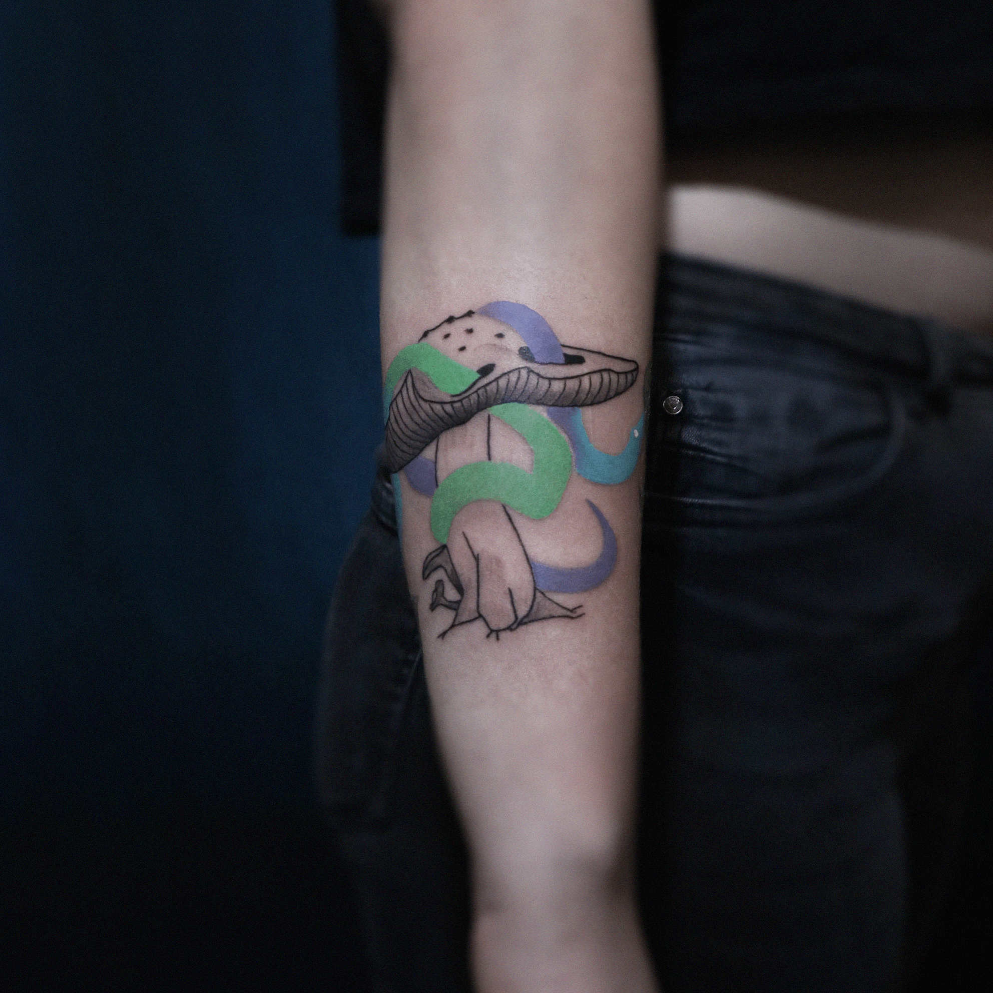 Inksearch tattoo Tamanduabox