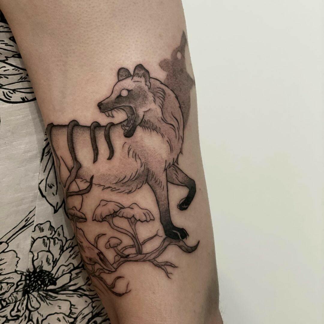 Inksearch tattoo Tamanduabox