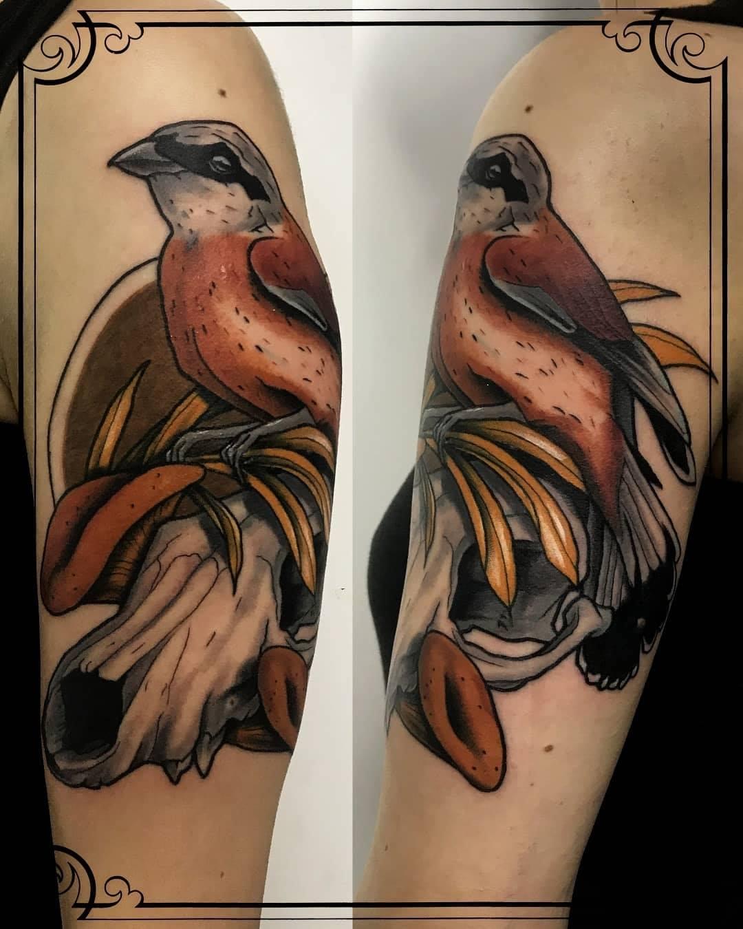 Inksearch tattoo Jarek Ropa
