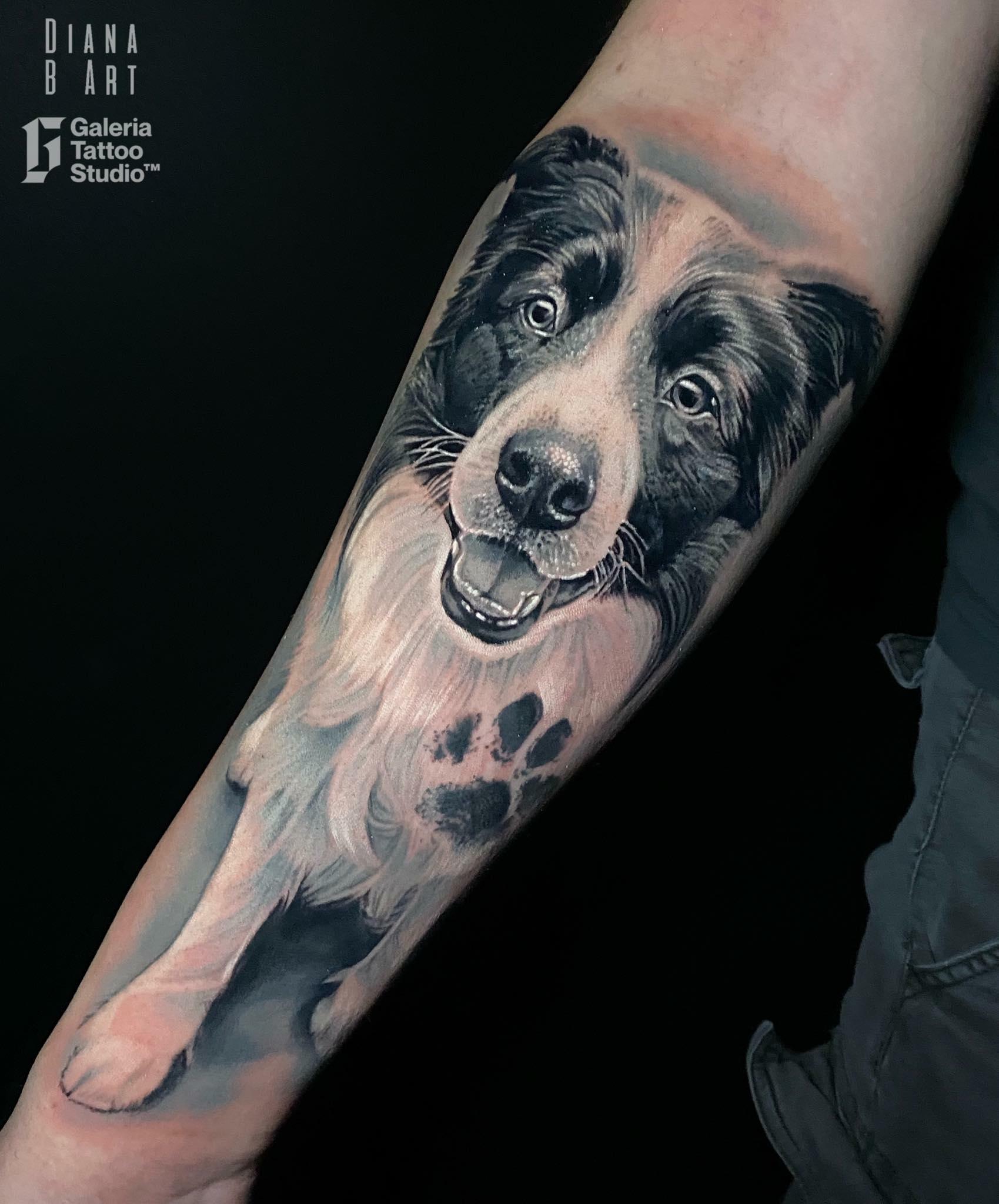 Inksearch tattoo Galeria Tattoo Studio
