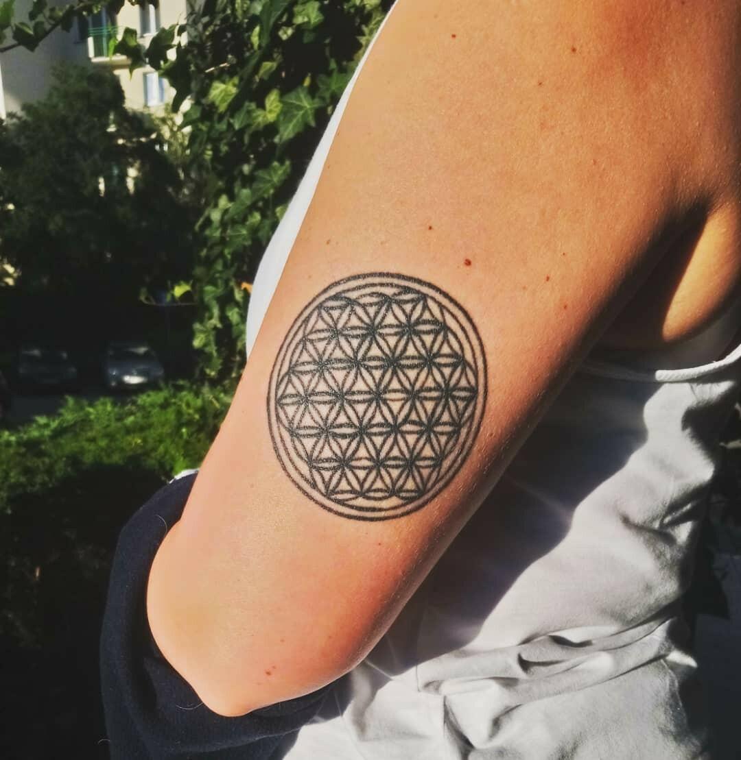 Inksearch tattoo Karolina Myśliwiec