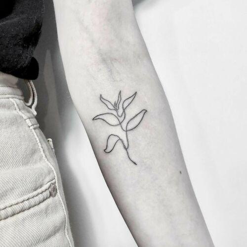 FAJNERZECZYTATUAŻE inksearch tattoo