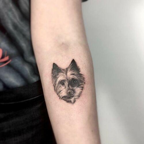 Black Cats Tattoo inksearch tattoo